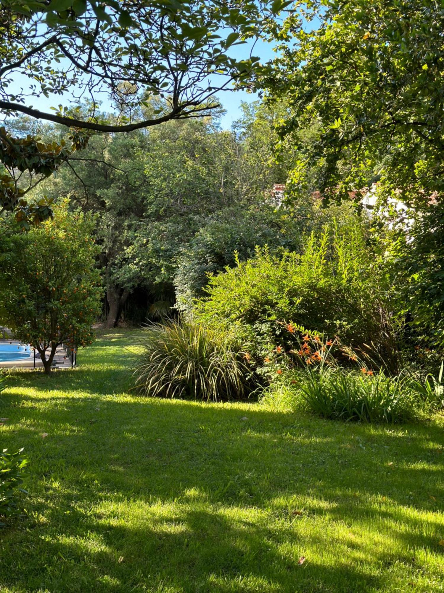 L'Enthousiasme Bed and Breakfast Prades  Eksteriør billede
